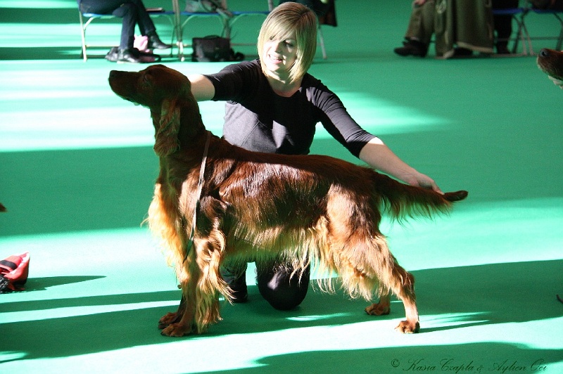 Crufts2011 047.jpg